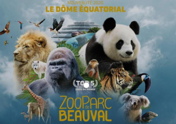 Chambre Jungle Dans Maison D'Hote "Le Petit Clouet"- Rochecorbon Zewnętrze zdjęcie